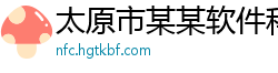 太原市某某软件科技维修网点